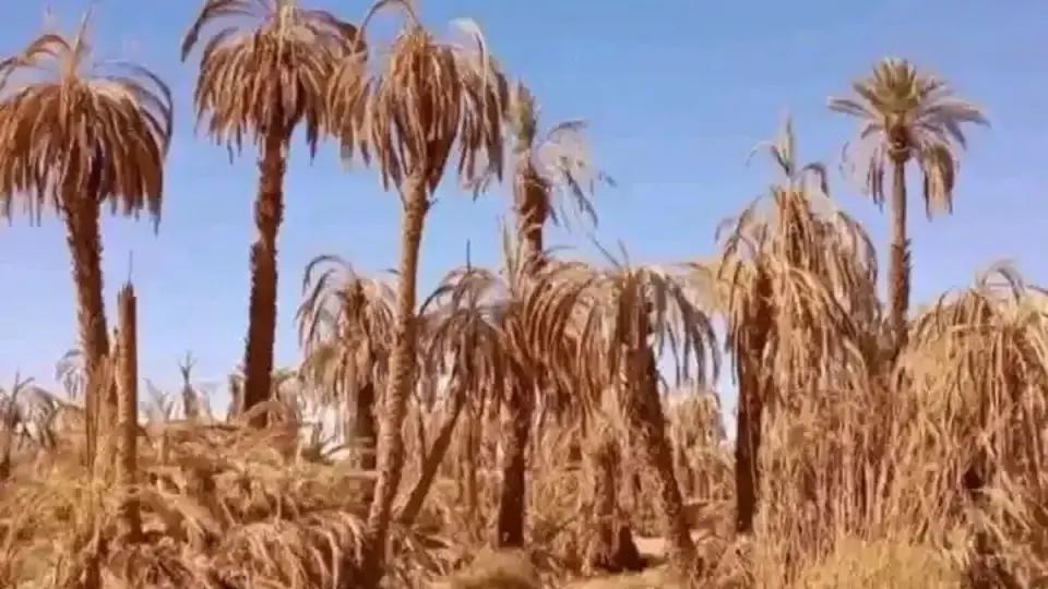 السودان تحت لهيب الصيف.. العطش والظلام يهددان الملايين