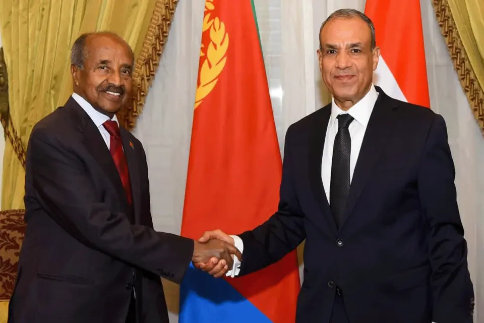 تحركات مصرية بملفات أفريقية.. وساطة بين أمريكا وإريتريا وتنسيق بشأن السودان