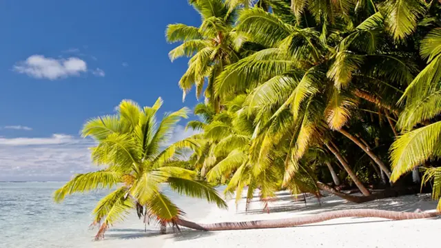 جزر تشاغوس: جنة استوائية في قلب صراع دولي على السيادة وإرث الاستعمار