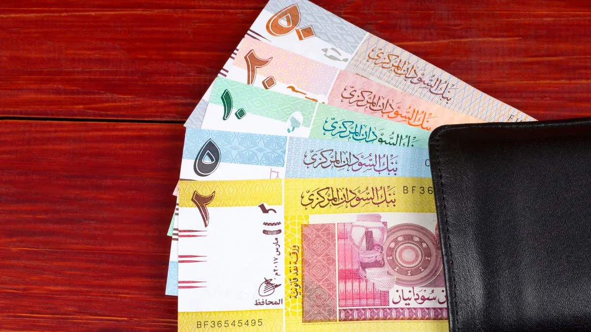 المركزي السوداني يرفع سقف تمويل المشروعات الصغيرة ويضيف قطاعات جديدة لدعم الصادرات